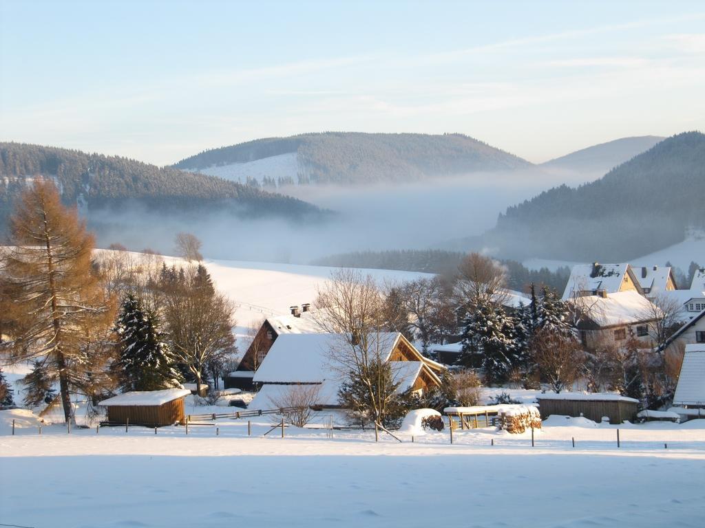 Appartement Landhaus Zur Linde à Winterberg Chambre photo